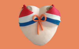 Ponque Senos Holanda